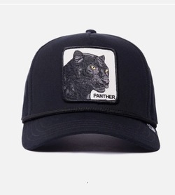 GORRA GOORIN BROS PANTHER 100